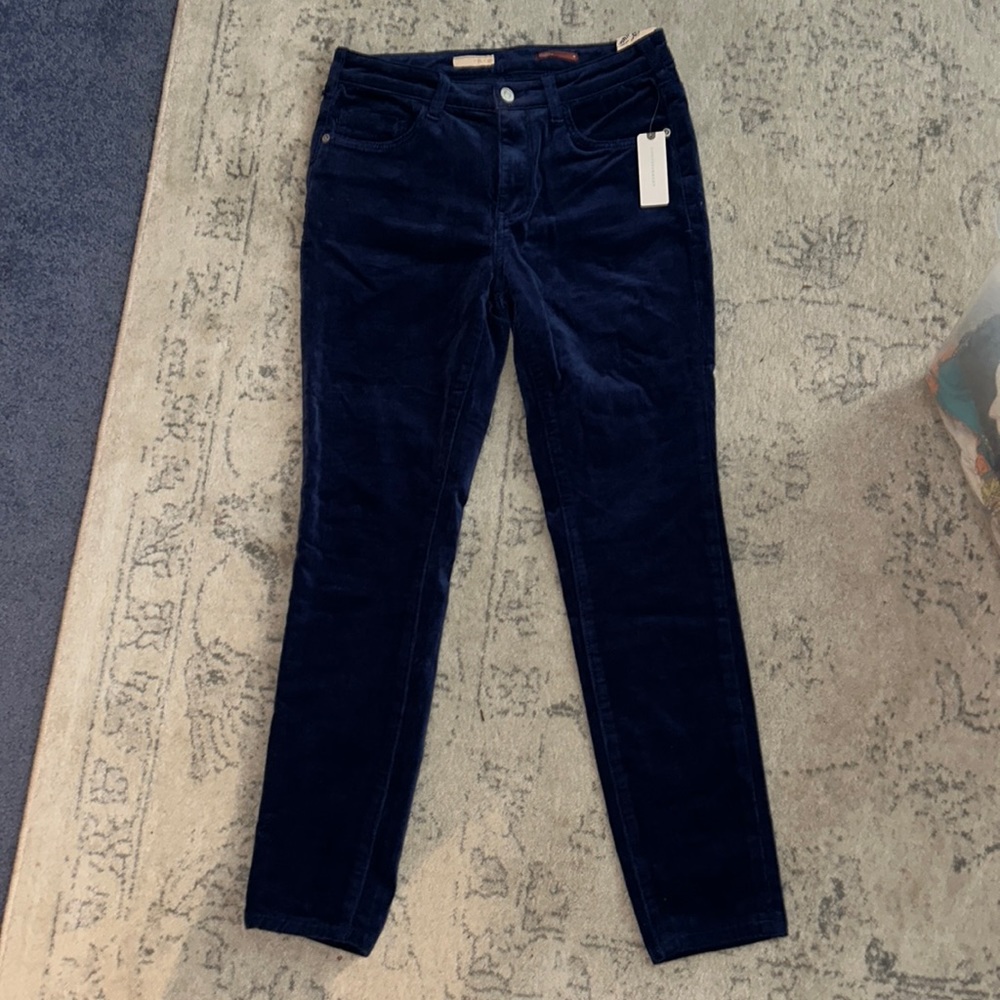 COPY - Anthropologie Pilcro suede pants